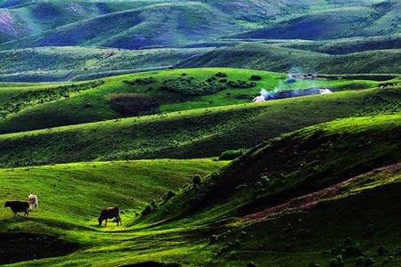 情色北疆：準噶爾盆地伊犁河谷誘惑12日游